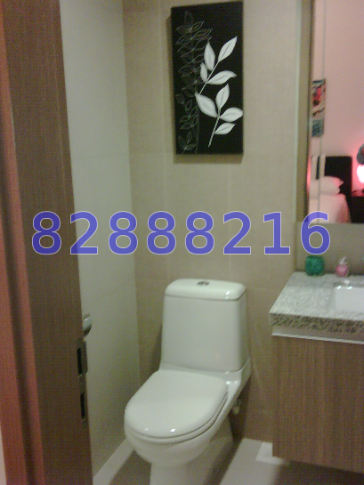 The Metropolitan Condominium (D3), Condominium #15413602